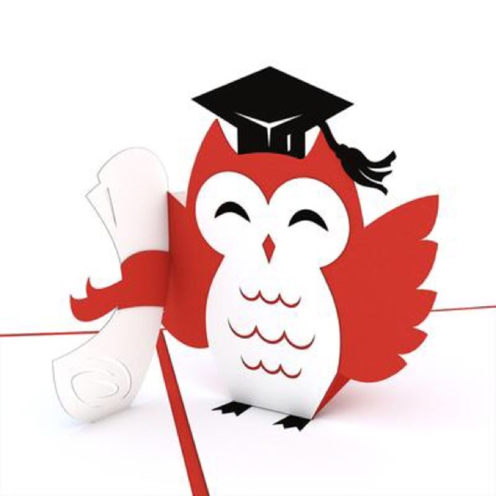 Lovepop Owl Congrats graduation pop up card